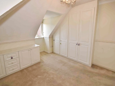 Picture 7